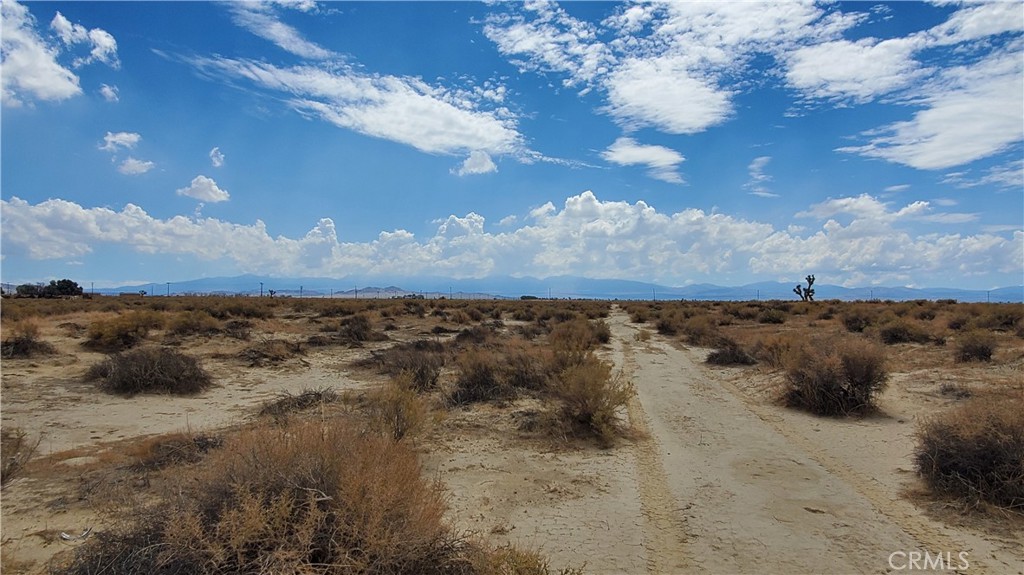 Eastside investment parcel with dirt road access and desirable zoned A-2 zoning. Level 3.09 Gross / 2.87 Net Acres, just over 1300' from electricity and paved Ave H. A great buy! *Buyer to make their own independent investigations regarding zoning & General Plan Designations, Hazard Zones, Availability & Costs of utilities.