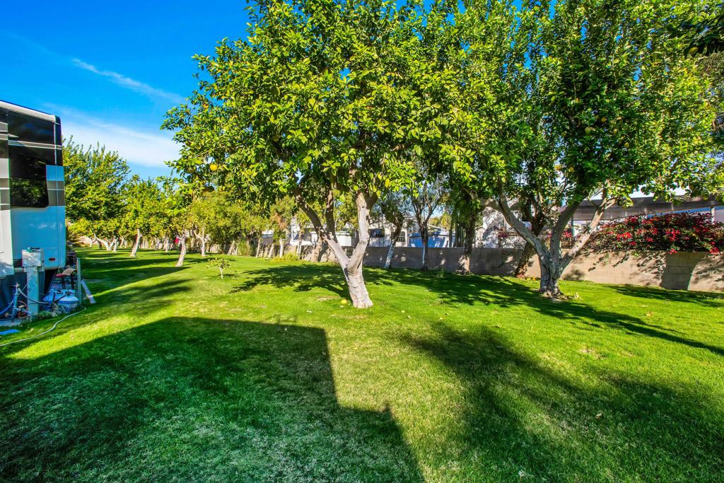Outdoor Resorts Palm Springs - Land