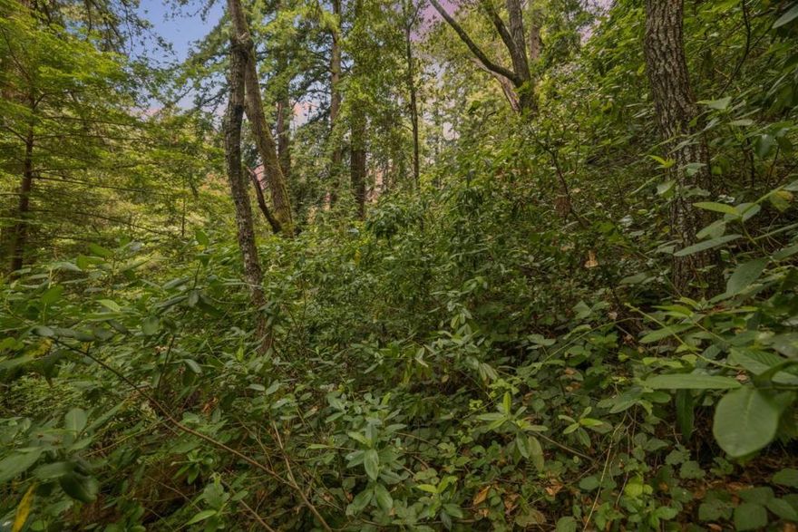 Whether you're dreaming of weekend adventures or expanding your backyard playground, this versatile parcel in the heart of South County has you covered. Set up a hammock under the towering trees, build a ropes course, start a hillside garden, raise chickens, or even carve out some extra parking. This land invites imagination. The property features a mix of dense woods and sunlit clearings with sloped terrain perfect for creative uses or quiet escapes. Just minutes from Aptos Village, you're close to coffee shops, restaurants, and coastal charm, yet tucked into your own little forest retreat. And with its location and natural beauty, this lot isnt just a lifestyle upgradeits a long-term investment.  Don't miss the chance to own this unique and affordable slice of Aptos nature!