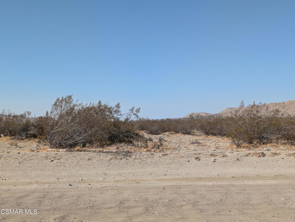 Opportunity knocks in Palmdale! This 5-acre parcel is zoned for limited agricultural use--perfect for buyers looking to create their own rural retreat, hobby farm, or income-producing setup.Whether you're dreaming of growing your own orchard, planting a vineyard, starting a flower farm, or raising small livestock like chickens and goats, this land offers the space and freedom to make it happen (buyer to verify all allowable uses with LA County). The zoning allows for certain structures, light farming, roadside stands, nurseries, and more--with plenty of room left over for a custom home or manufactured residence.Quiet, open skies and stunning desert views make this a peaceful escape just a short drive from Palmdale city center. Utilities nearby.Bring your vision and start building your agricultural dream. Parcels like this don't last long!Cross Streets: East Avenue and 147th Street.