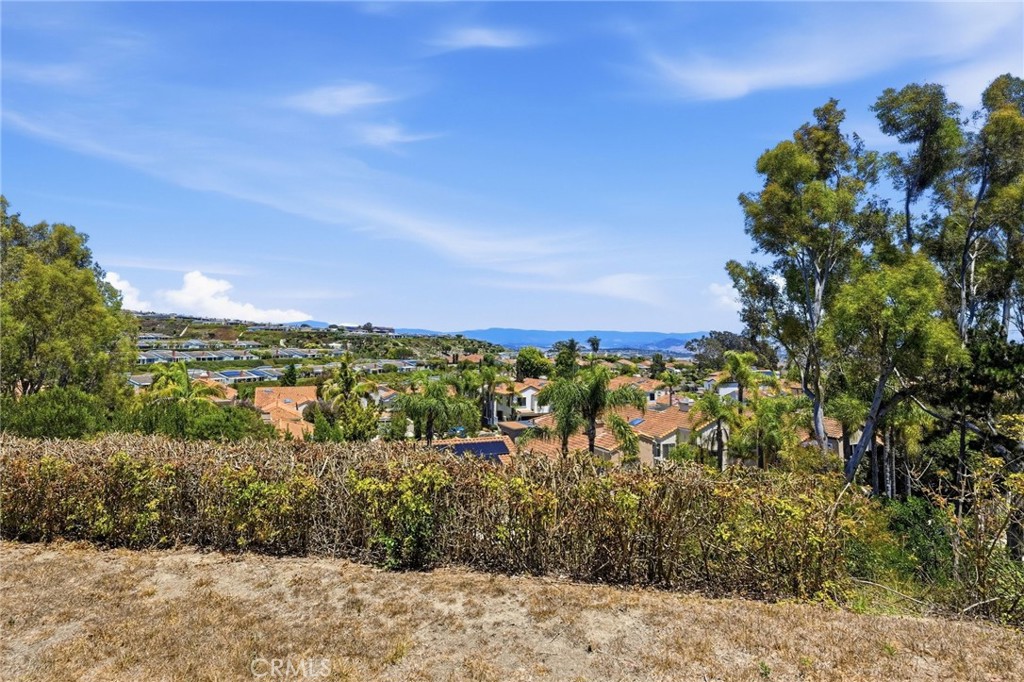 10 Toulon, Laguna Niguel CA 92677 - Photo 42