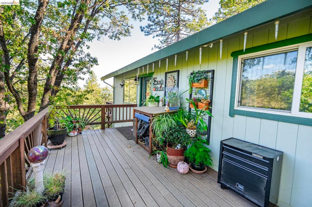 23965 Hitching Post Rd.
