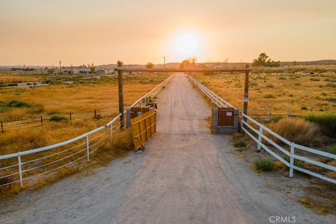 Photo of 16736 Wild Road, Helendale, CA 92342 (MLS # RS25148396)