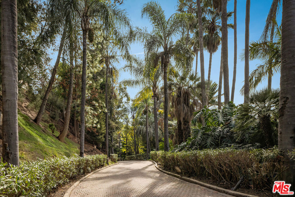 1037 Bel Air Court