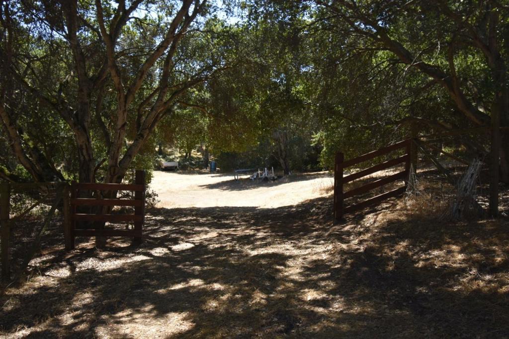 Alexander Lane