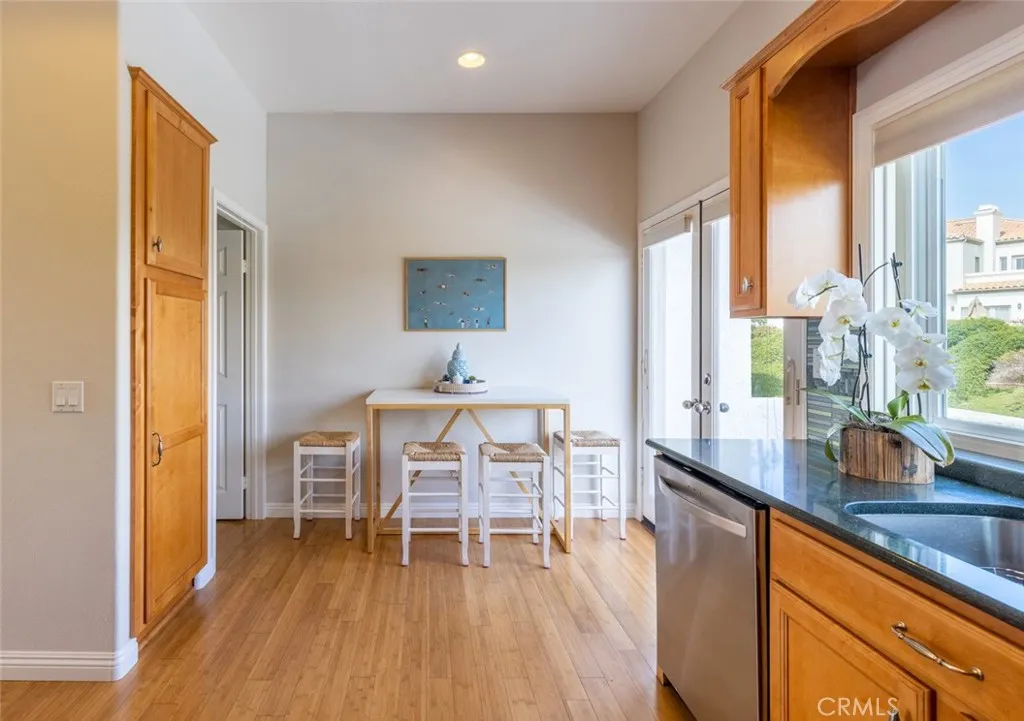 Dana Point, California 92629, United States, 2 Bedrooms Bedrooms, ,2 BathroomsBathrooms,Residential,Active,253339