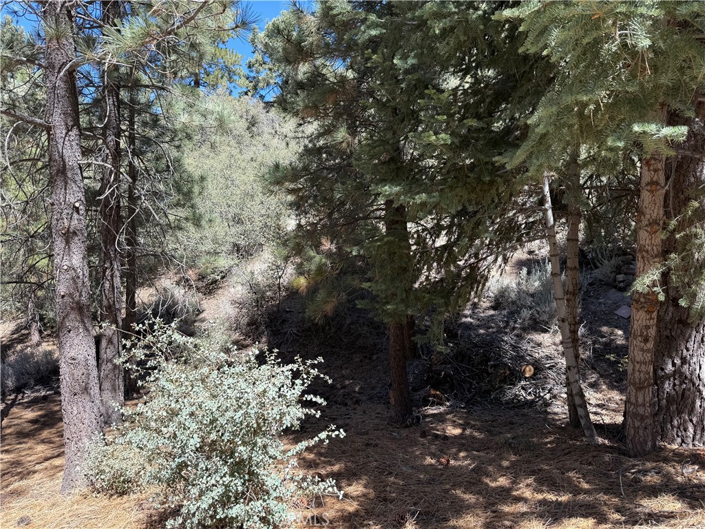 Imagine building your dream retreat on this quarter-acre lot in Pine Mountain Club. Situated on Upper Linden Drive, the property has easy, level access from the road and then rises to capture sweeping views of the mountains and magnificent western sunsets. Majestic Ponderosa and Jeffrey Pine trees dot the landscape, which backs onto the serene greenbelt of the Los Padres National Forest. This is more than just a lot—it's a chance to immerse yourself in the wild beauty and friendly spirit of this mountain community