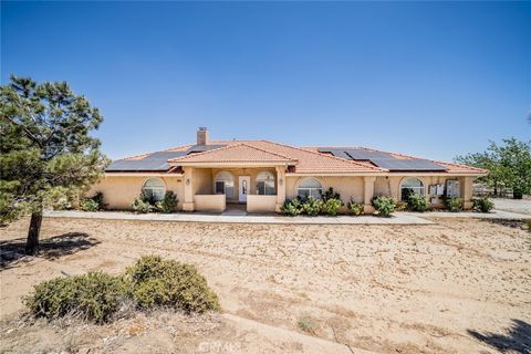 8225 Ailanthus Street Phelan CA 92371