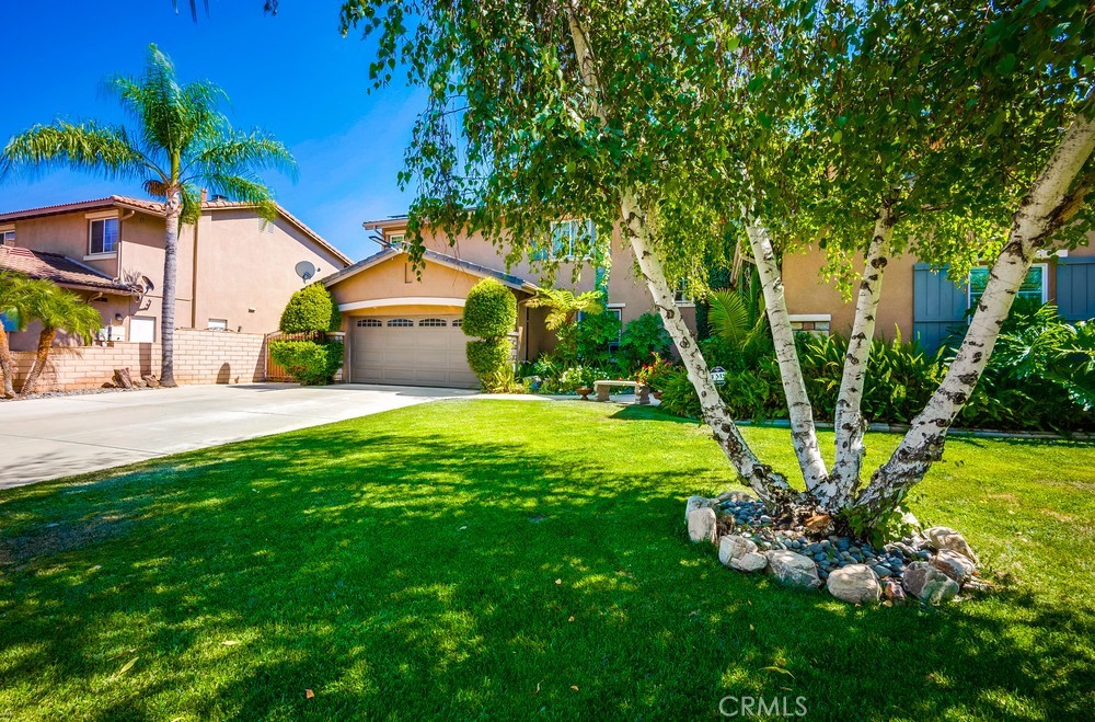 3425 Via Giovanni Circle