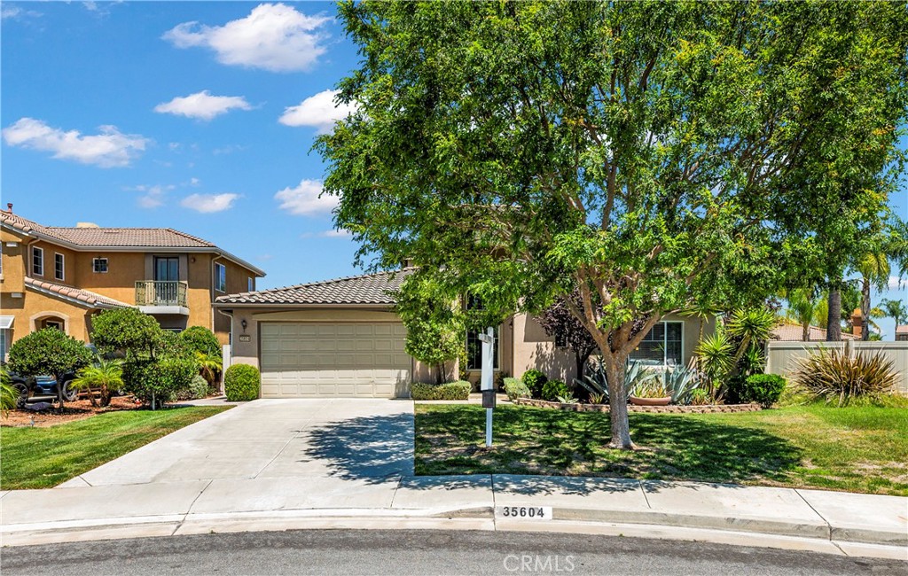 35604 Suzette Court