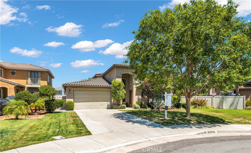 35604 Suzette Court