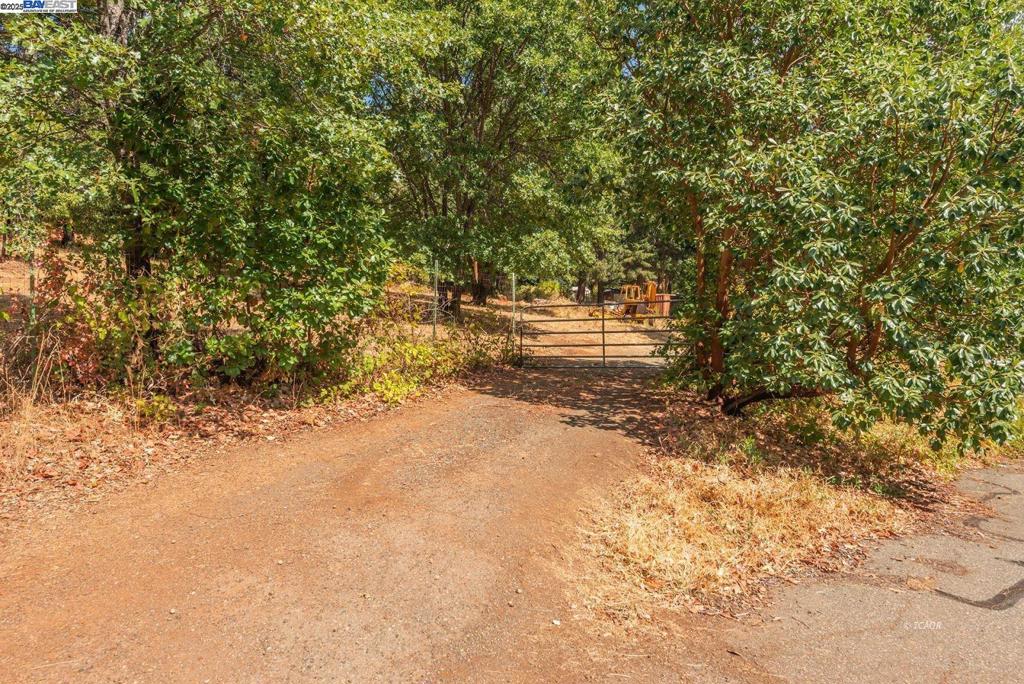 171 Connor Creek Rd