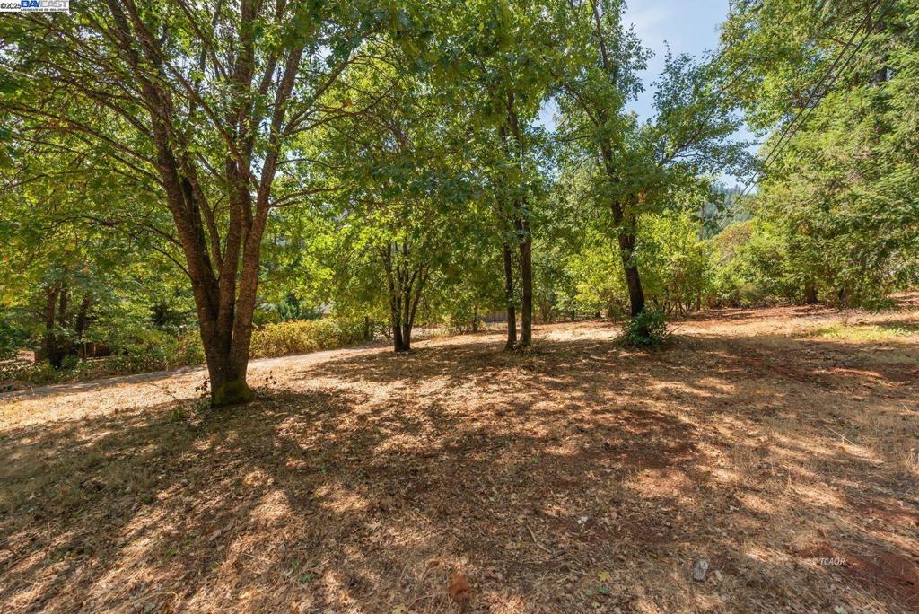 171 Connor Creek Rd