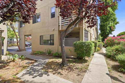 Photo of Santa Cruz, CA 95060 (MLS # ML82058096)