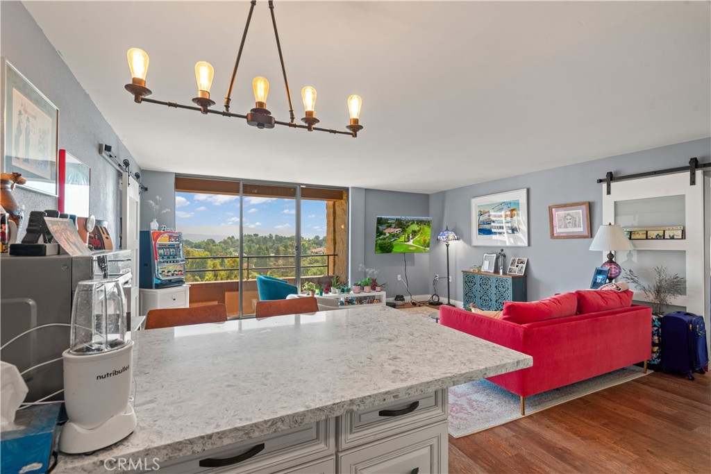 24055 W Paseo Del Lago 962