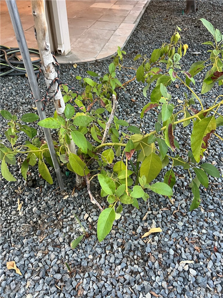 Rancho Mirage Resort (32172) - Residential