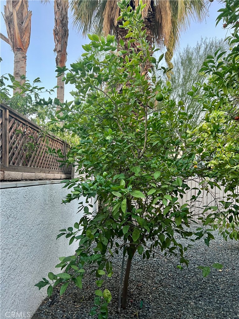 Rancho Mirage Resort (32172) - Residential