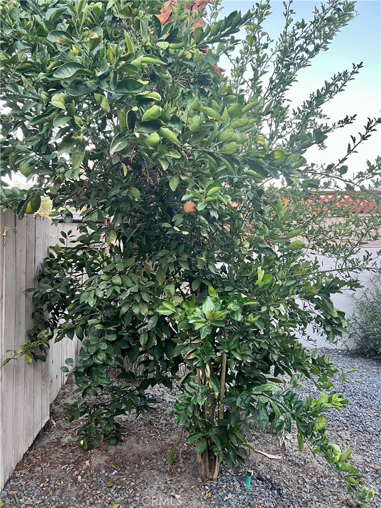 Rancho Mirage Resort (32172) - Residential