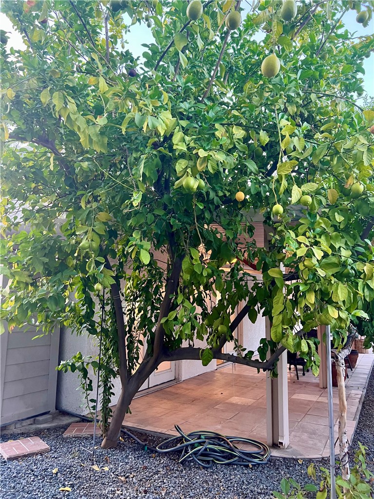 Rancho Mirage Resort (32172) - Residential