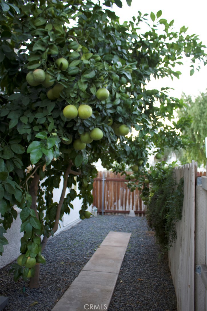 Rancho Mirage Resort (32172) - Residential