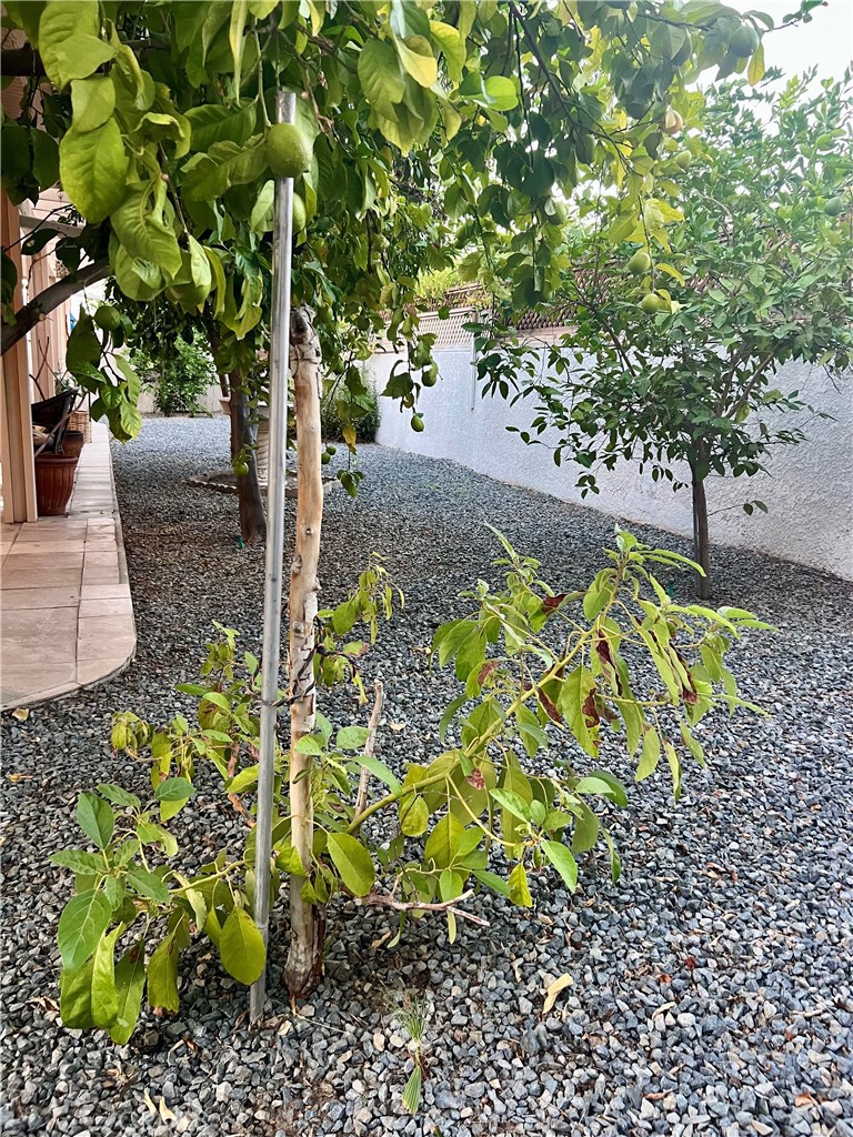 Rancho Mirage Resort (32172) - Residential