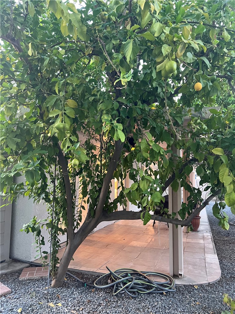 Rancho Mirage Resort (32172) - Residential