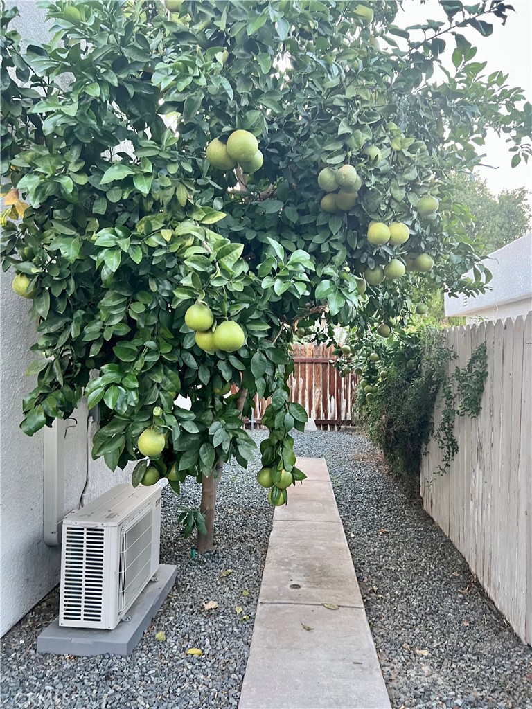 Rancho Mirage Resort (32172) - Residential