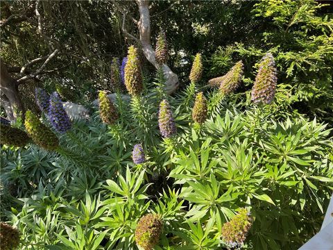 Tiny photo for 1226 Main Street #14, Cambria, CA 93428 (MLS # SC25099522)