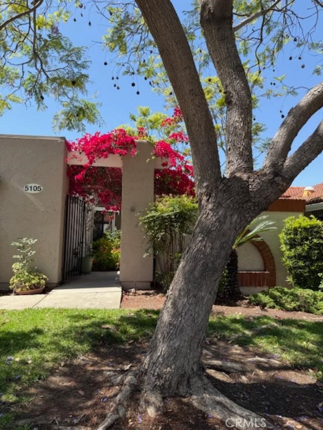 Villa Reposa in prestigious Gate 11—a detached and single-level home with a two-car garage. Two separated Master Suite bedrooms for more privacy. Spacious Living Room and Dining Room, an expanded kitchen with a bay window and Breakfast area, overlooking the lovely Garden Patio. This home has an enclosed Sun Room plus three patios for additional outdoor Living Space. Central heat and air conditioning with ceiling fans in many of the rooms. The attached garage has a finished floor with extra cabinet space. Located in gate 11 in the wonderful senior community of Laguna Woods Village. This community offers pools, parks, golf, hiking trails, tennis and bocce courts, horse stables, craft centers, and over 200 clubs of many interests. Come and enjoy the active community of Laguna Woods, very close to Laguna Beach. LagunaWoodsVillage.com has all the details.