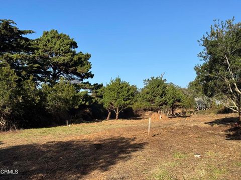 Photo of 25261 Ward Avenue, Fort Bragg, CA 95437 (MLS # C1-11240)