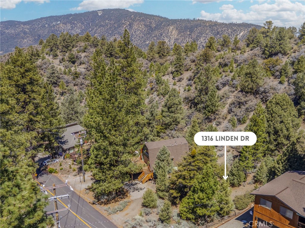 Welcome to the towering pines of upper Linden Drive, where mountain serenity meets opportunity. This flat lot backs to a gentle slope and opens directly to lush green space and National Forest, offering both privacy and a natural playground. Tucked near the end of a quiet cul-de-sac, the property is ready for your vision. Just 90 minutes north of Los Angeles, this lot includes exclusive access to Pine Mountain Club’s resort-style amenities: a clubhouse, seasonal swimming pool, tennis courts, scenic park, and a private golf course. Outdoor enthusiasts will love the extensive hiking trails, while equestrians can enjoy the full-service horse center. With water supplied by Mil Potrero Mutual Water Company, there’s no need to drill a well, and street maintenance and snow removal ensure year-round accessibility for stress-free mountain living. Buyer to verify all permits, zoning, and building codes with Kern County. The Pine Mountain Club Property Owners Association (PMCPOA) CC&Rs and bylaws should be reviewed before closing escrow. Consulting with a general contractor is also recommended to understand building requirements. Don’t miss the chance to create your own spectacular mountain retreat—schedule your visit today!