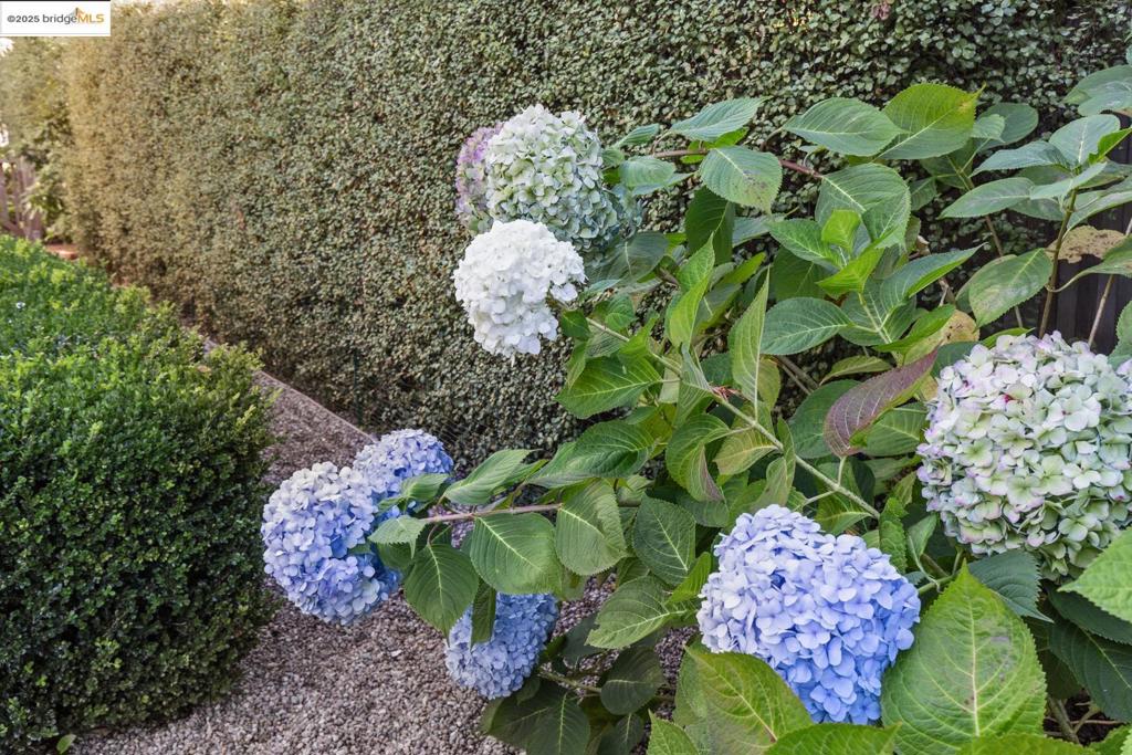 BERKELEY - Residential