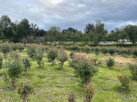 11324 Oshia Ln Valley Center CA 92082