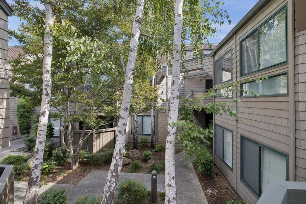 20 Cove Lane