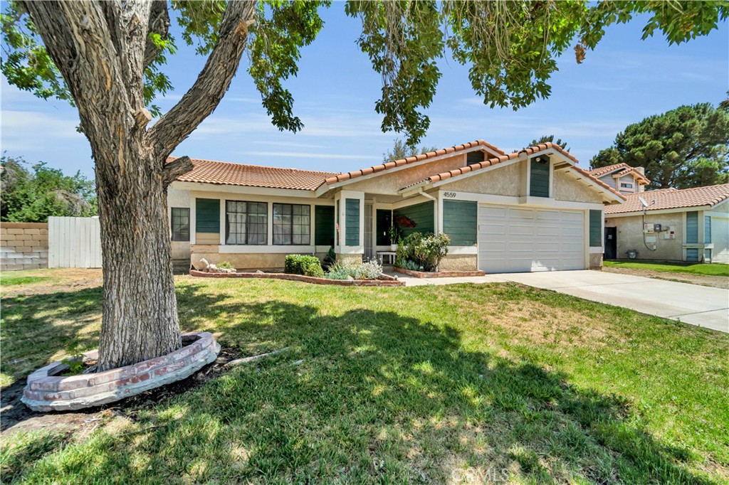 4559 Clear Springs Avenue