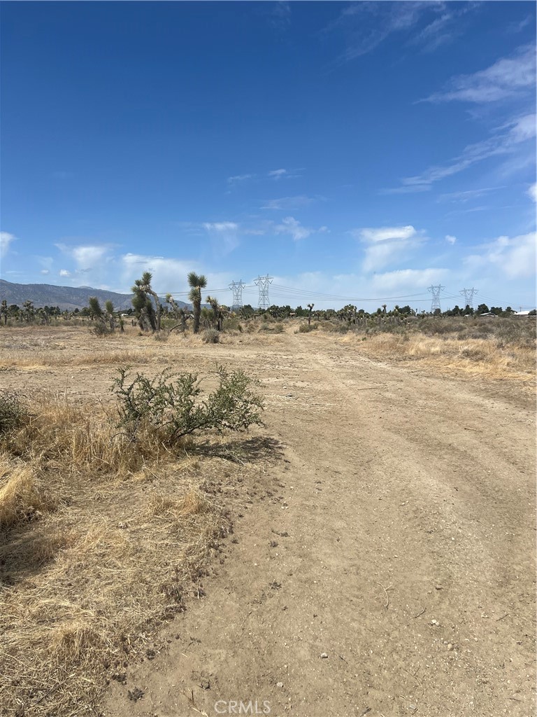 Listing image 7