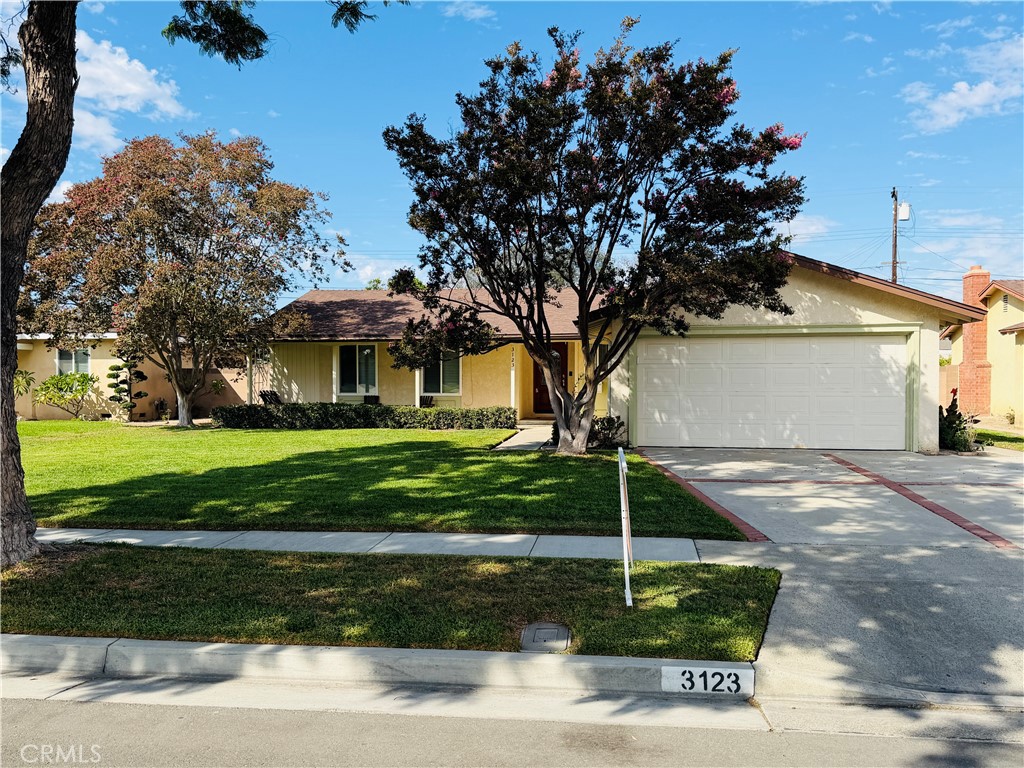 Other - Residential Lease