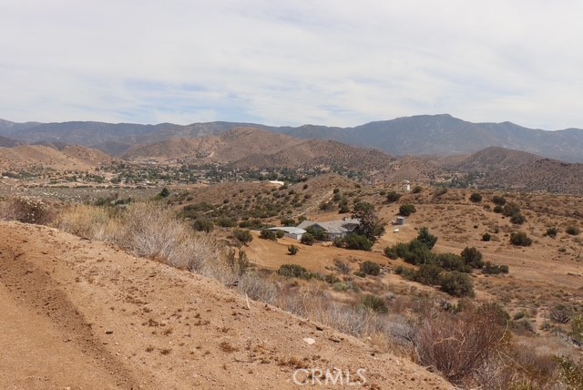 Custom Acton (CACTO) - Land