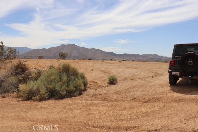 Custom Acton (CACTO) - Land