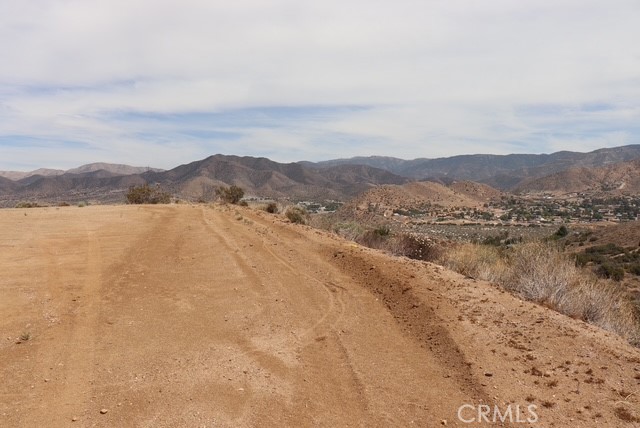 Custom Acton (CACTO) - Land