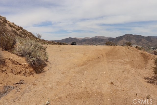 Custom Acton (CACTO) - Land