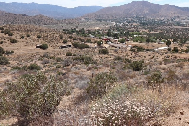 Custom Acton (CACTO) - Land