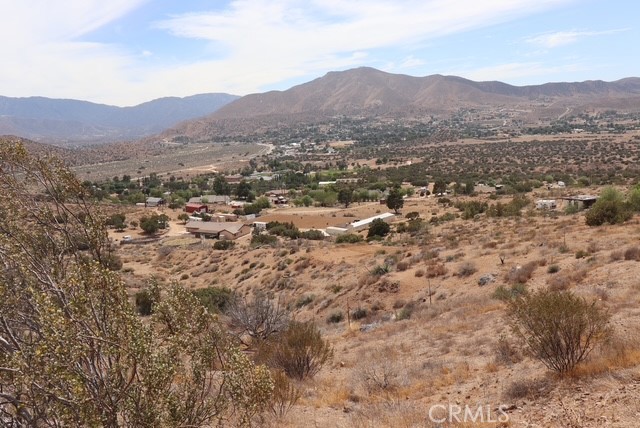 Custom Acton (CACTO) - Land