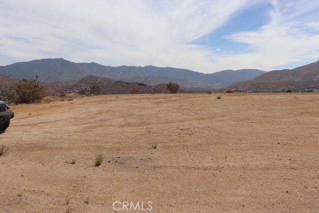 Custom Acton (CACTO) - Land