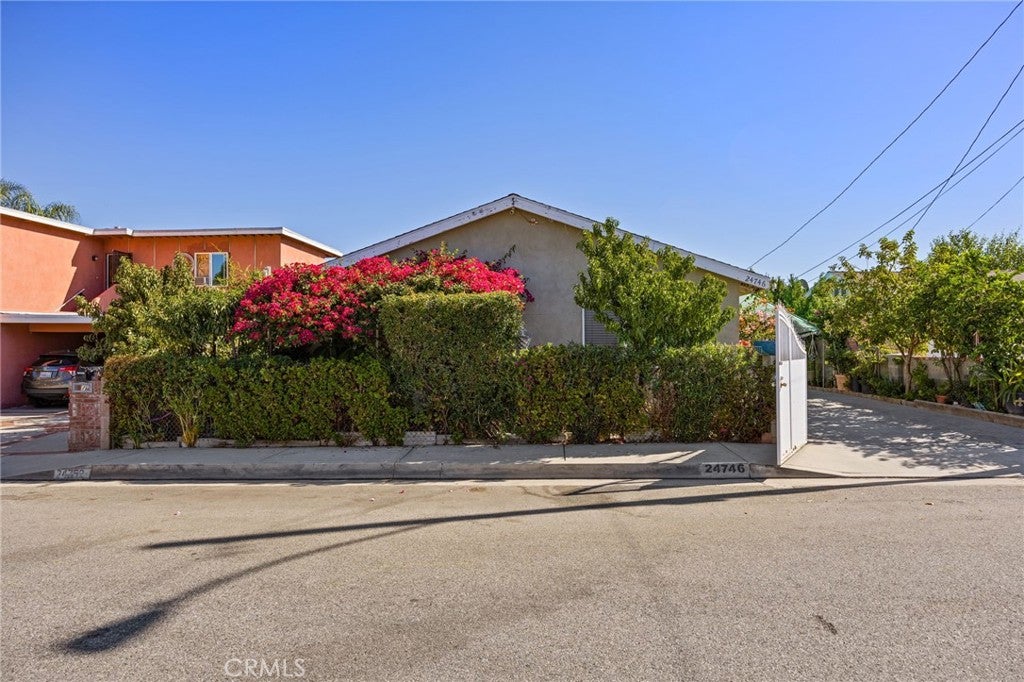 24746 Spruce