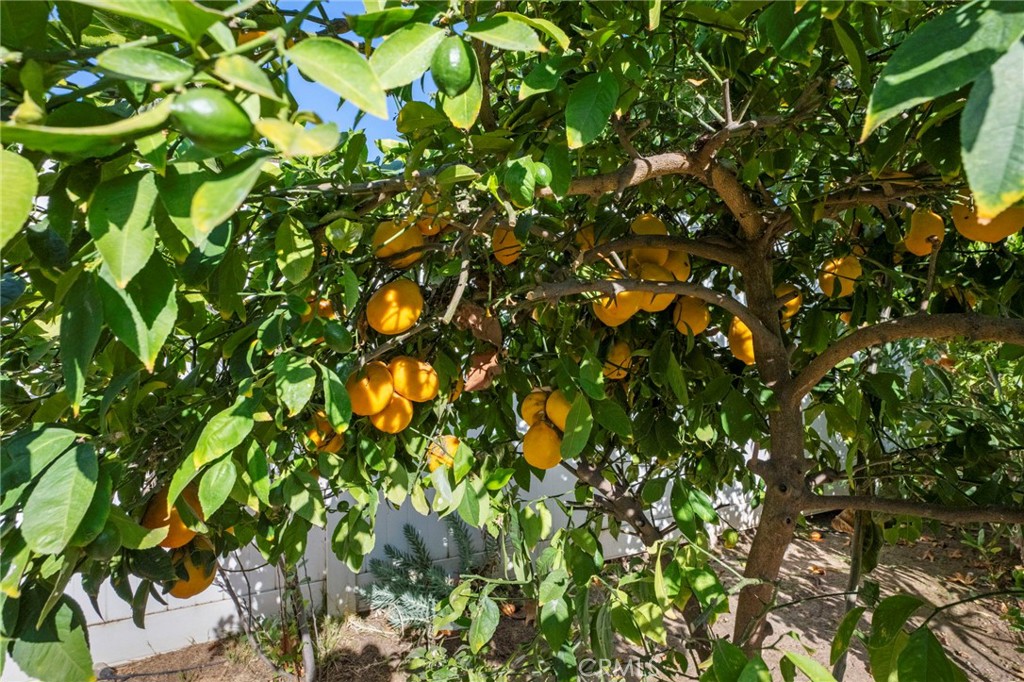 Park Santiago - Residential