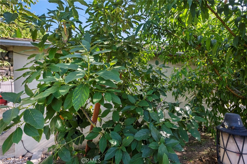 Park Santiago - Residential