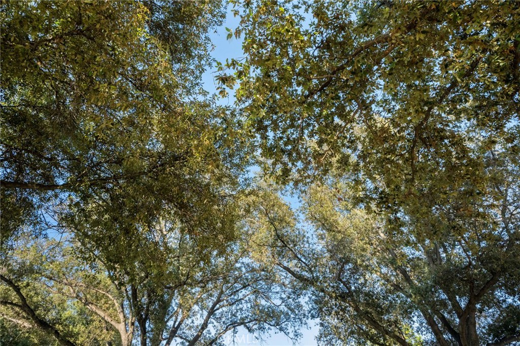 Park Santiago - Residential