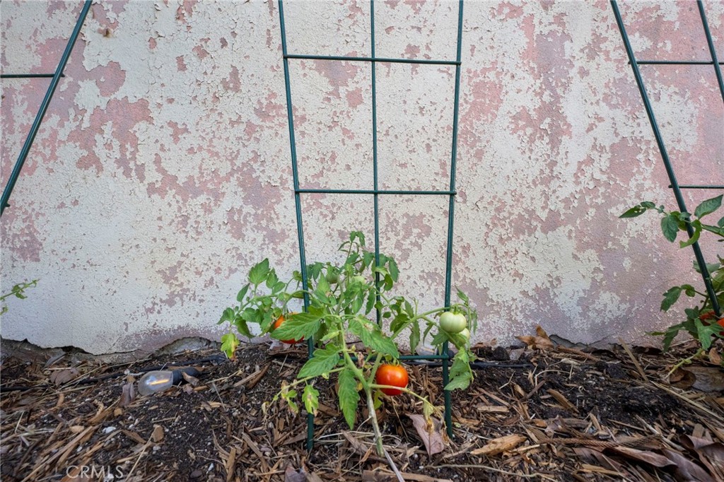 Park Santiago - Residential