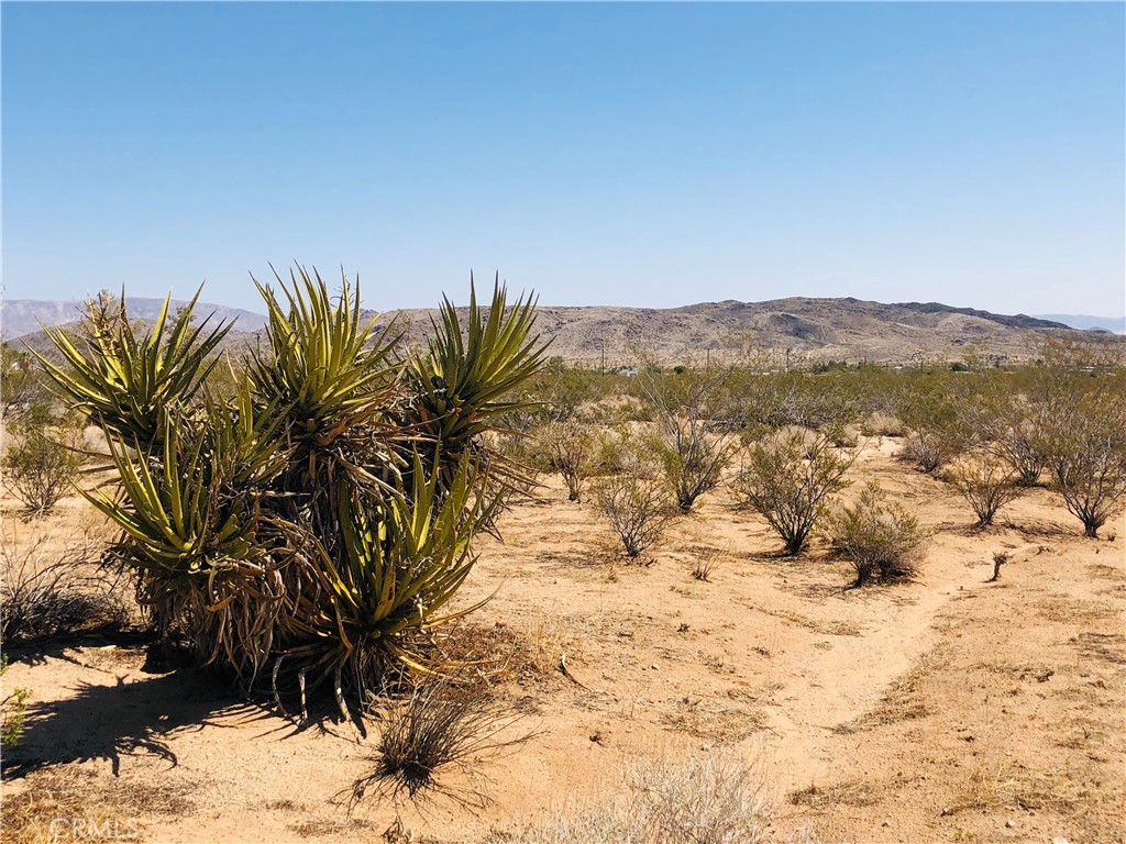 Make this 2.5 acre lot your dream desert retreat and explore the local attractions! Endless hiking and off-road trails in the area. Water and power available - buyer to verify. Build or Invest. Easy access, one lot in from paved Linn Rd. About 30 minutes from Joshua Tree National Park. APN: 0635-031-26-0000 GPS: (34.2965652, -116.4500580) Property does not have an assigned address - for listing purposes only. Owner May Carry.